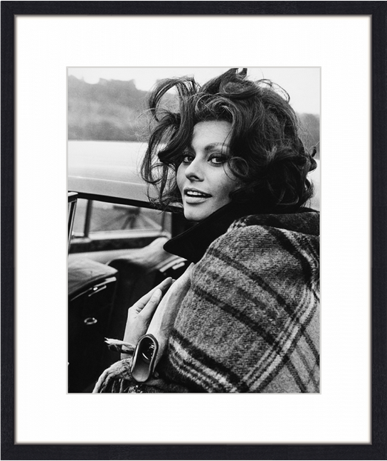 Sophia Loren young 50x60